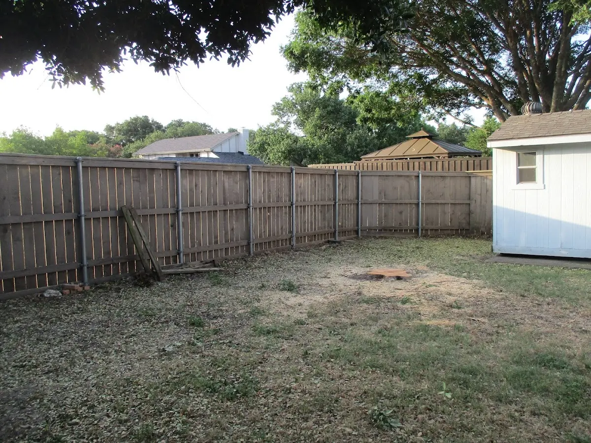 Cleared yard after professional tree removal in Saltsburg